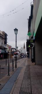 visita papa Leon 8 a 11 de nov - 4