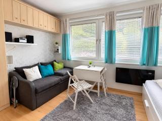 Alpine Studio mit Sauna & Indoor-Pool - 4