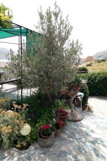 Apartments with parking space Pag - 20577 - 3