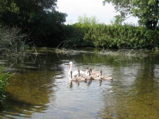 Taylors Guesthouse - Salisbury - 1