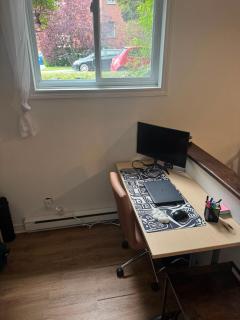 Entire 1BR, Office, Parking & Garden Access aprtm - 2