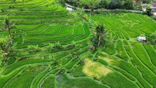 Gunung Luwih River Hideaway by The Travel Ubud Bali - 6