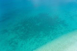 家族の笑顔 希望ヶ丘ビーチまで徒歩5分でのんびり家族ステイ Coral Onnason - Onna - 1