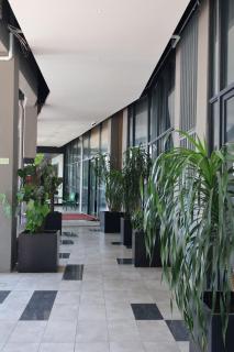 Roxy Hotel Aiman - 5