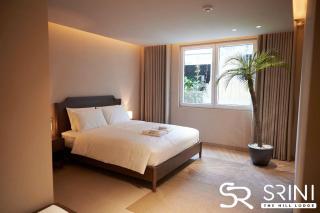 Srini the hill lodge - 2