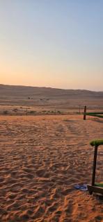 Palm Shade Camp - 4