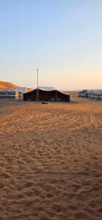 Palm Shade Camp - 3