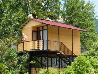Cottage house - 0