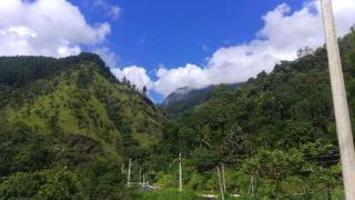 The Misty Mountain Guest House - 9