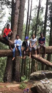 The Misty Mountain Guest House - 6