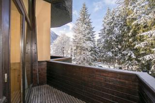 Grand Roc A103 from Slopes 150m, & Parking - Happy Rentals - 9