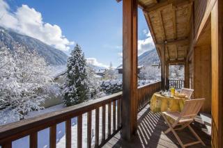 Chalet Beugeant Garden, BBQ, Parking Sleeps 6 - Happy Rentals - 5