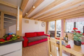 Grand Roc C112 from Slopes 280m, Mont-Blanc View, Parking & WiFi - Happy Rentals - 7