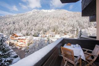 Grand Roc C303 from Slopes 280m, View, Parking & WiFi - Happy Rentals - 9