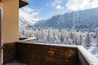 Grand Roc C415 from Slopes 280m, Mont-Blanc View & Parking - Happy Rentals - 9