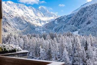 Grand Roc C415 from Slopes 280m, Mont-Blanc View & Parking - Happy Rentals - 2