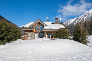 Chalets Zaria Garden Fireplace near Ski Lift - Happy Rentals - 2