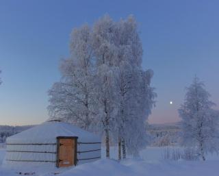 Yurt District - 3