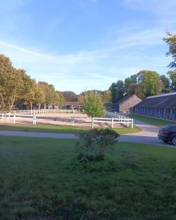 Ferienwohnung Am Seeberg - 3