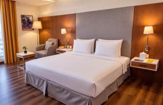 Golden Tulip Muscat - 2