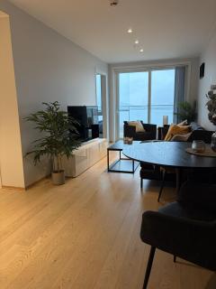 Workinntoppen Panorama apartment with a view - 4