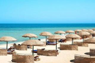 Scandic Beachfront Retreat - 9