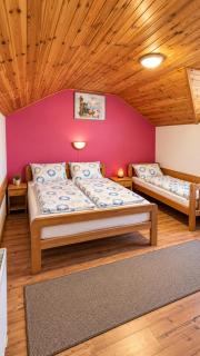 Amfora Rooms Caribrod - 1