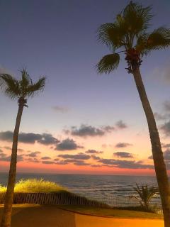 Hotel Suites Bat Yam - 4