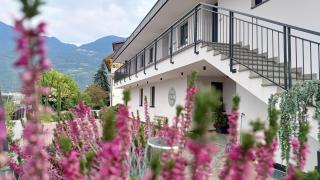 Bike Apartments Curti - Himmelblau - 0