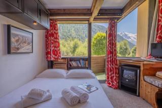 Grand Roc B9 from Slopes 260m, Mountain View & Parking - Happy Rentals - 4