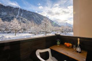 Grand Roc B9 from Slopes 260m, Mountain View & Parking - Happy Rentals - 3