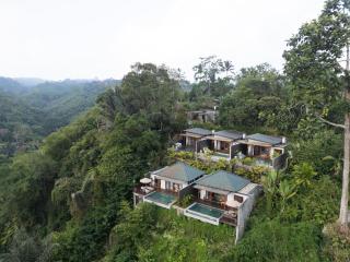Tiss Valley - 4
