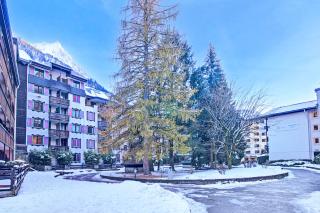 Cham Sud Jonquilles 38 Walk to Aiguille du Midi for 4 - Happy Rentals - 3