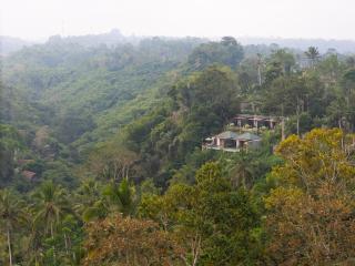 Tiss Valley - 1