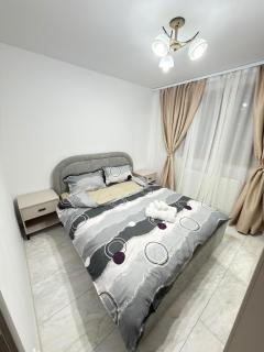 Colentina Comfort Apartment - 7