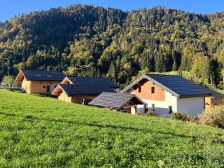 Villa en Bellevaux avec sauna et jacuzzi - 6