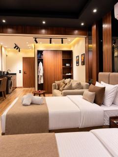 Luxury studio with nile view in Zamalek - 6