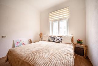 Pet-friendly apartment in the very heart of Riga - 2