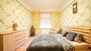 Pet-friendly apartment in the very heart of Riga - 1