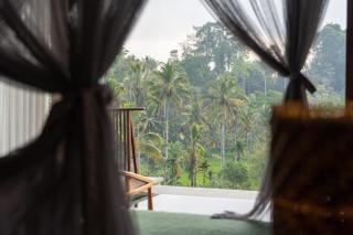 Tiss Valley - 6