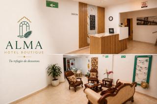 Alma Hotel Boutique Cali - 2