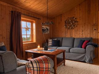 Authentic and Charming Cabin Life in Golsfjellet - 8