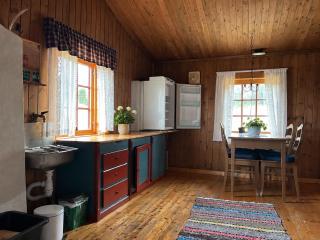 Authentic and Charming Cabin Life in Golsfjellet - 4