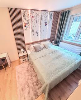 B13 Central Boutique Szeged - 9