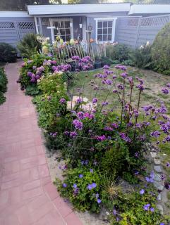 Haus Lilly - 0