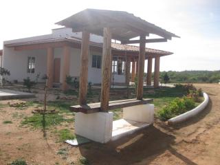 Little Nest en Rancho El Rossinyol - Valle de Guadalupe - 7