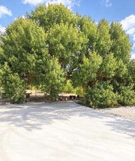 Tremithos cottage, Nature retreat and Mountain views - 0