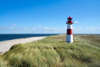Charming Apartment in Westerland-Sylt, 35 m², garden - 9