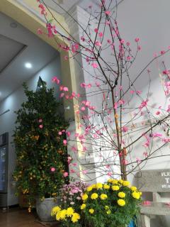 Anhkhoa hotel - 1