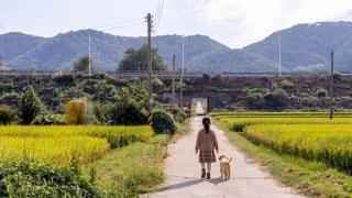 Geoje Beachwhite Pension - 9